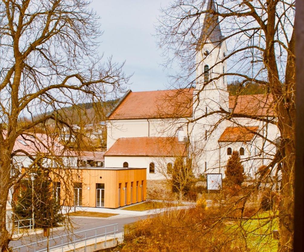 Pension Bergbauer Prackenbach المظهر الخارجي الصورة
